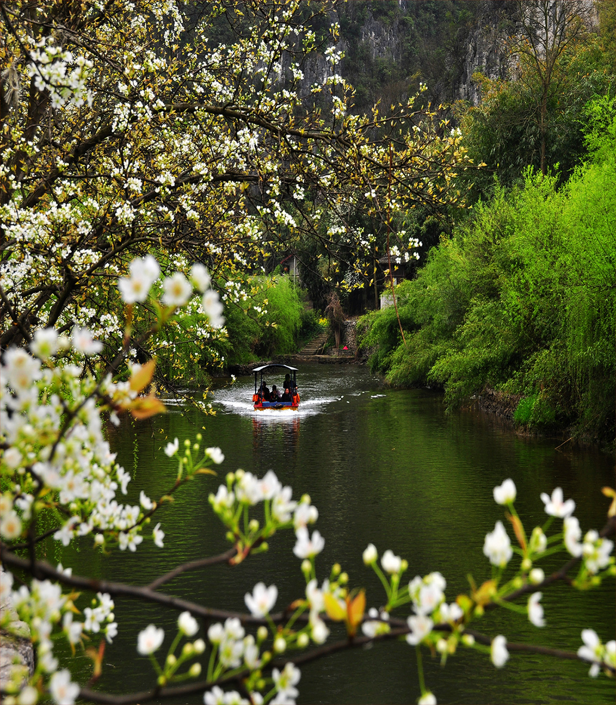 安顺龙宫景点